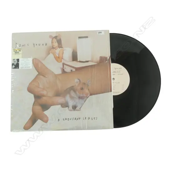 SONIC YOUTH 'A THOUSAND LEAVES' 2 LP 